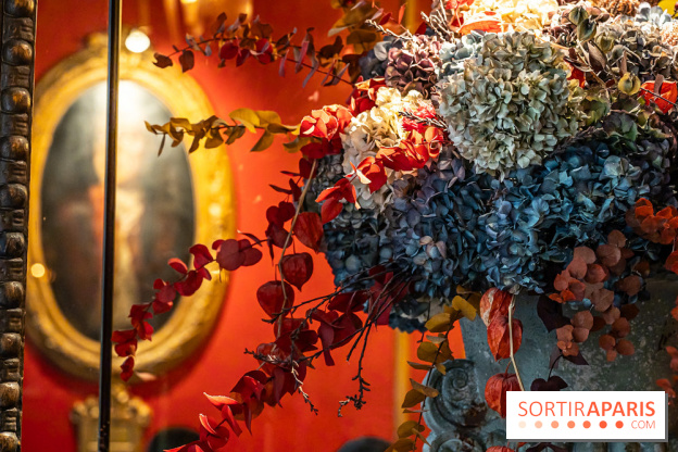 Le Procope restaurant -  A7C5542