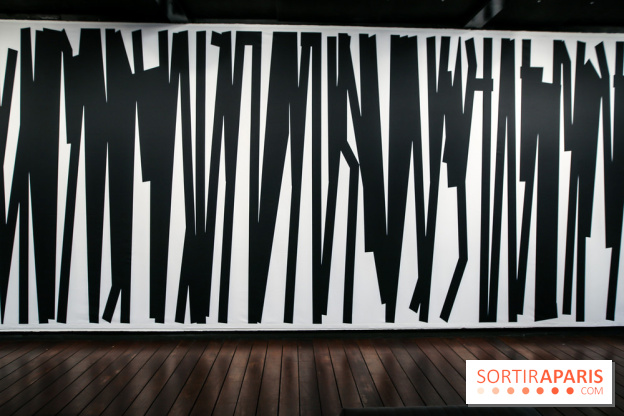 Tania Mouraud, nos photos de son expo à Fluctuart