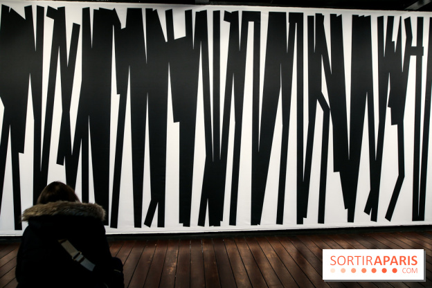 Tania Mouraud, nos photos de son expo à Fluctuart - IMG 2705