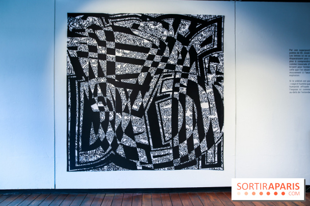 Tania Mouraud, nos photos de son expo à Fluctuart - IMG 2710