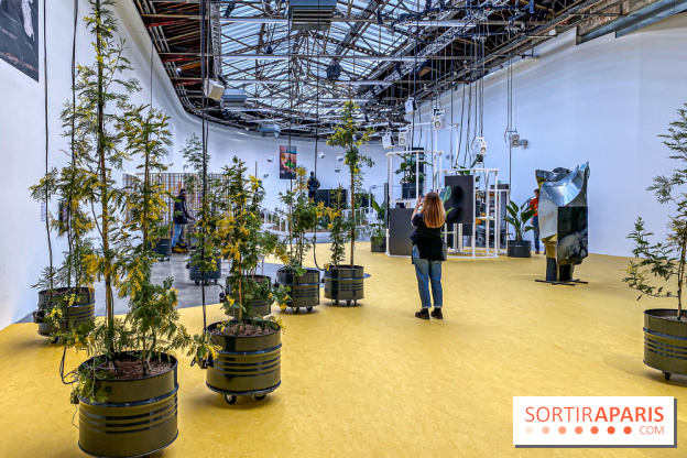 Exposition Signal de Mohamed Bourouissa au Palais de Tokyo - IMG 4531