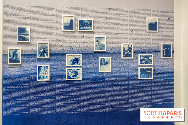 Dislocations, l'exposition collective au Palais de Tokyo - IMG 4539