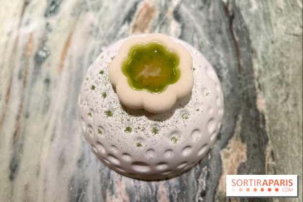 OKA - FOGO - Sorbet aneth, sarriette, citron