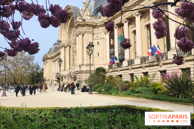 Visuel Paris 8e - Petit Palais printemps cerisiers fleurs 