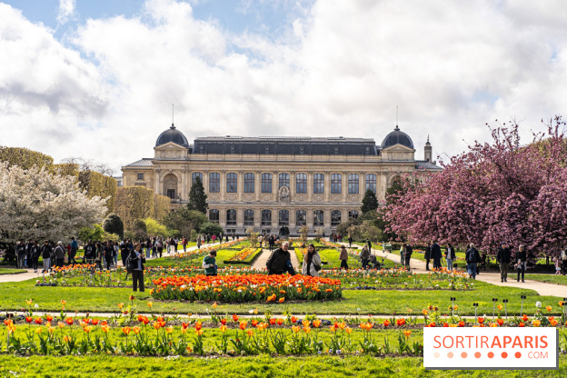 Visuel Paris 5e -  jardin des plantes - museum - printemps - cerisiers