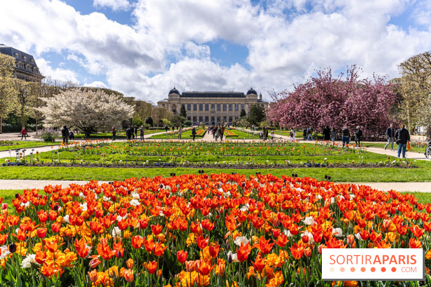 Der Jardin des Plantes in Paris und seine Schätze, die es zu entdecken