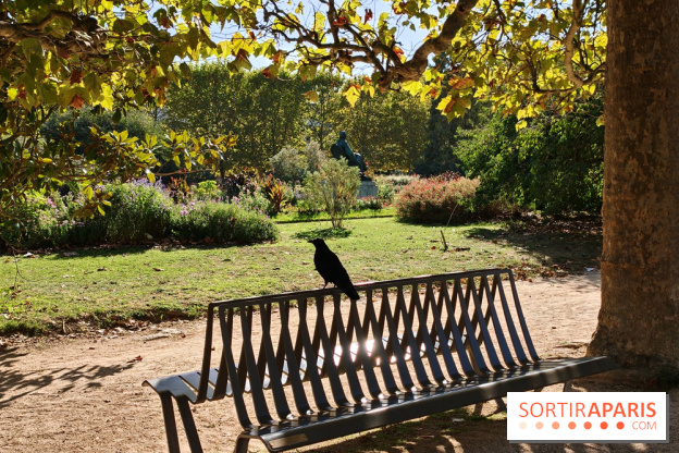 Visuel Paris 5e - corneille corbeau jardin des plantes