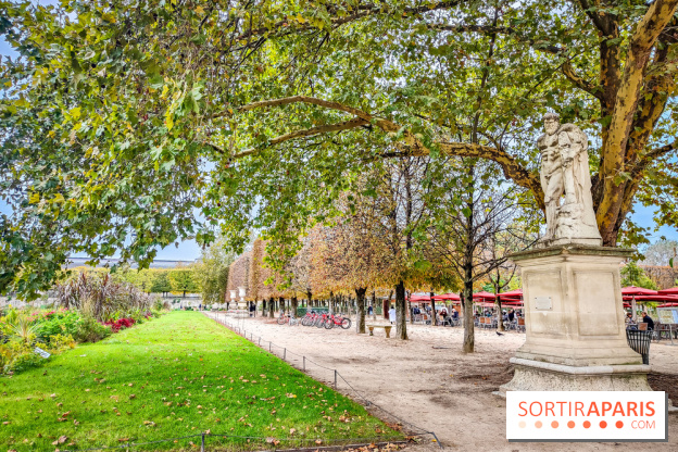 Visuel Paris 1er - jardin des Tuileries automne