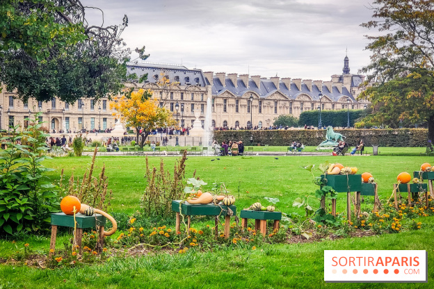 Visuel Paris 1er - jardin des Tuileries automne