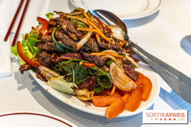 New Hao Khoan, le restaurant chinois et vietnamien, valeur sûre du 13e - salade thaï