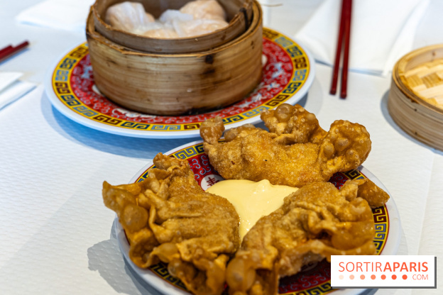 New Hao Khoan, le restaurant chinois et vietnamien, valeur sûre du 13e - raviolis frits