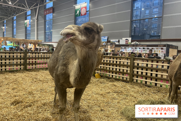 Salon de l'agriculture 2024 - image00057