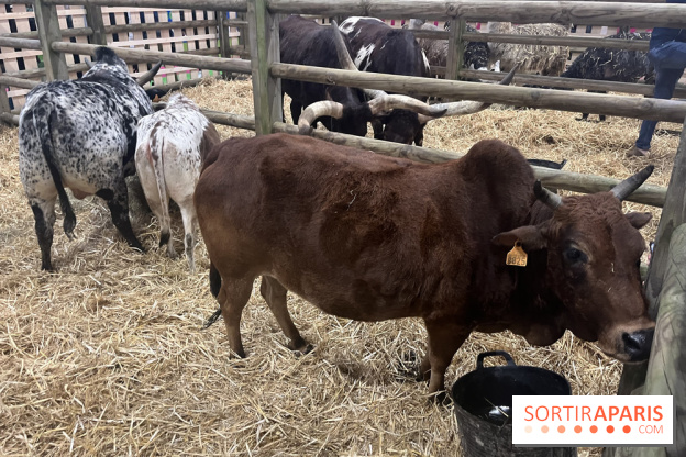 Salon de l'agriculture 2024 - image00058