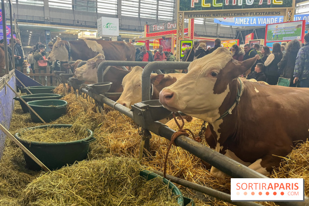Salon de l'agriculture 2024