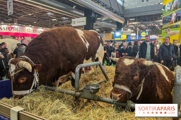 Salon de l'agriculture 2024