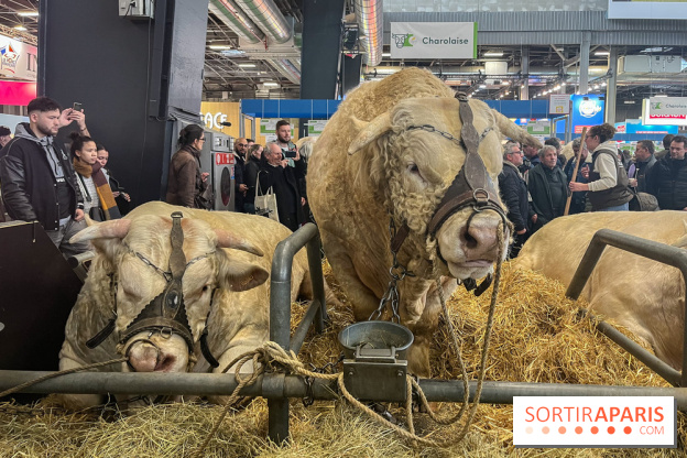 Salon De L Agriculture De La Paris Fotografiile Noastre De La Cea