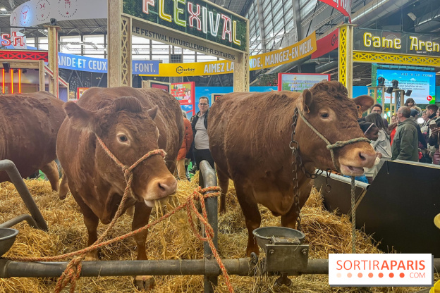Salon de l'agriculture 2024