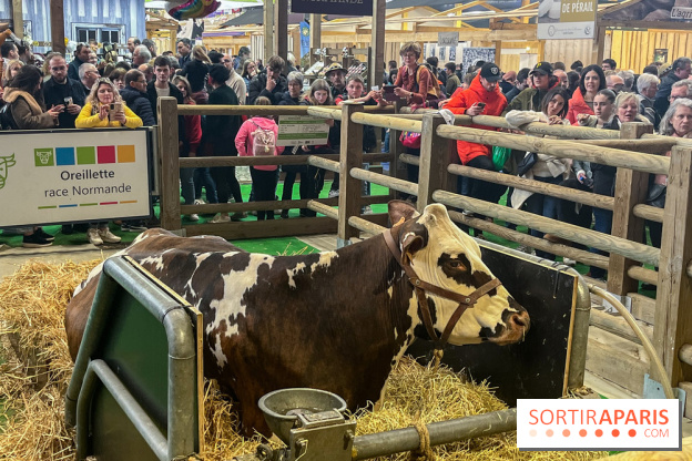 Salon de l'agriculture 2024