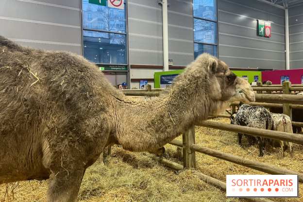 Salon de l'agriculture 2024 - image00004