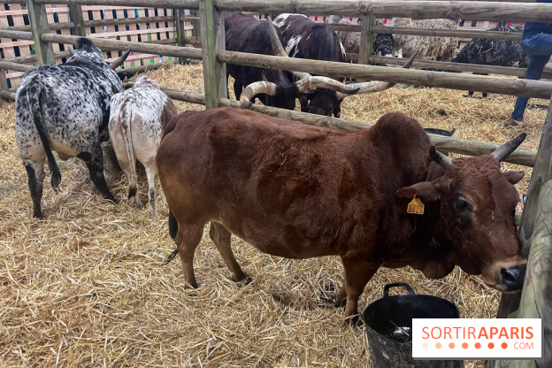 Salon de l'agriculture 2024 - image00002