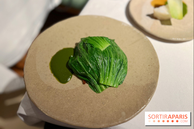 Datil - Autour du pakchoï