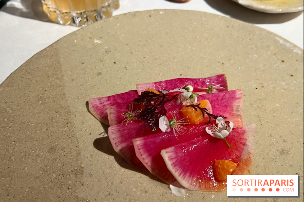 Datil - Radis, Saint-Jacques, ail