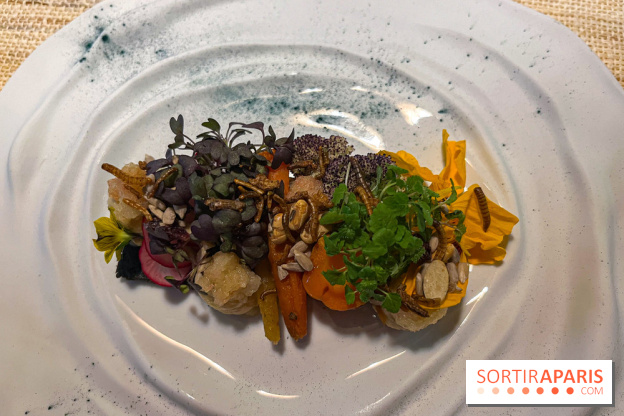 Inoveat, le restaurant gastronomique d'insectes à Paris - nos photos - image00018