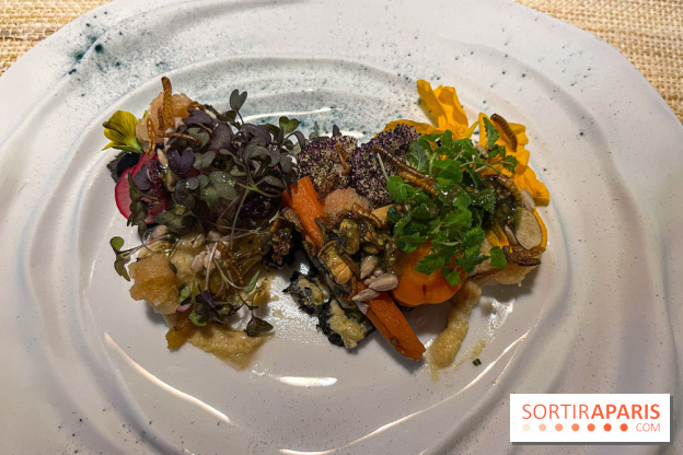 Inoveat, le restaurant gastronomique d'insectes à Paris - nos photos - image00015