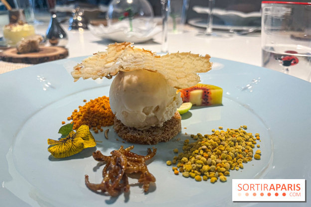 Inoveat, le restaurant gastronomique d'insectes à Paris - nos photos