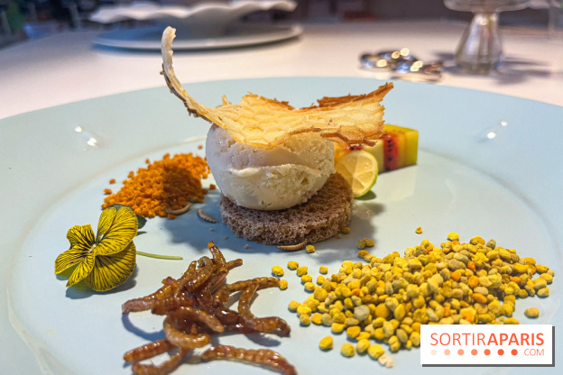Inoveat, le restaurant gastronomique d'insectes à Paris - nos photos
