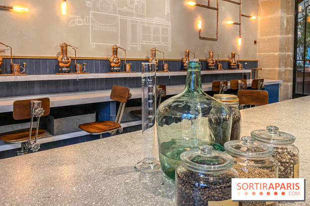 La Distillerie de l’Arbre Sec : l'atelier de création de gin à deux pas du Louvre