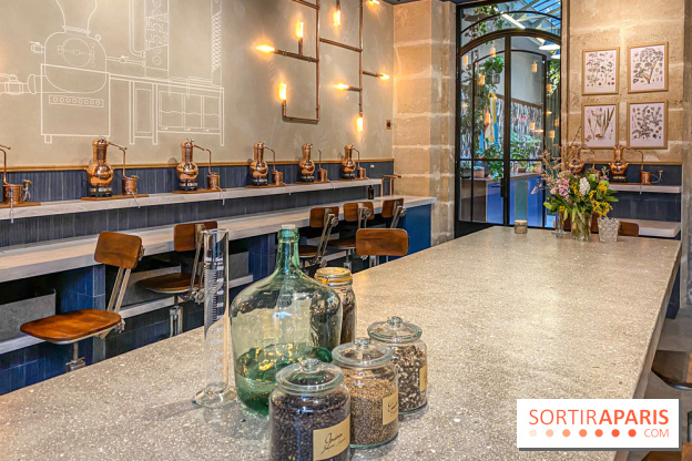 La Distillerie de l’Arbre Sec : l'atelier de création de gin à deux pas du Louvre