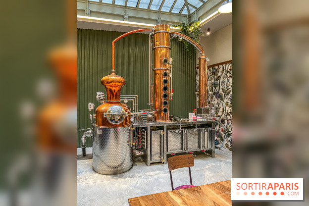 La Distillerie de l’Arbre Sec : l'atelier de création de gin à deux pas du Louvre