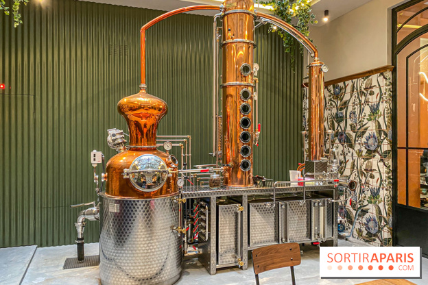 La Distillerie de l’Arbre Sec : l'atelier de création de gin à deux pas du Louvre