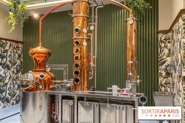 La Distillerie de l’Arbre Sec : l'atelier de création de gin à deux pas du Louvre