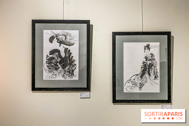 Exposition Sumi et Motion de la calligraphe japonaise Aya Wada à la galerie La Lison - IMG 4915