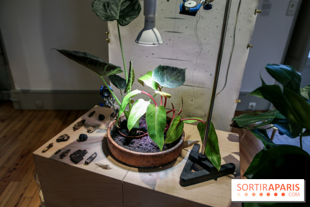 Suivre les ondes, nos photos de l'expo à l'Institut suédois
