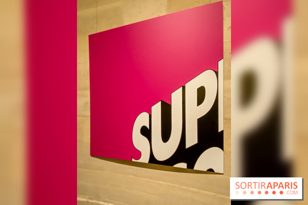 H5 - Voir la French Touch, l'exposition musicale à l'Espace Richaud, à Versailles - IMG 5053