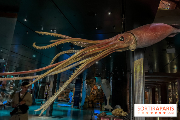 Grande Galerie de l'évolution- visuels 2024 - image00109