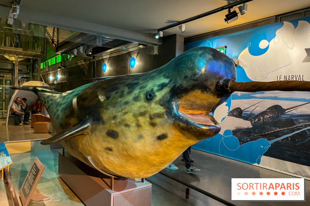 Grande Galerie de l'évolution- visuels 2024 - image00092