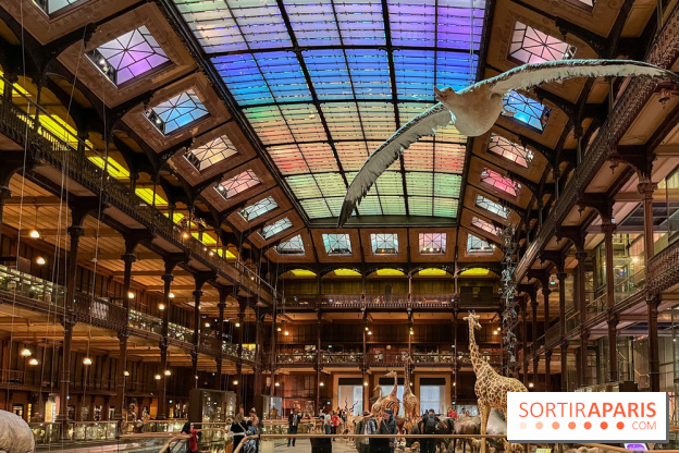 Grande Galerie de l'évolution- visuels 2024