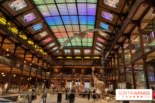 Grande Galerie de l'évolution- visuels 2024