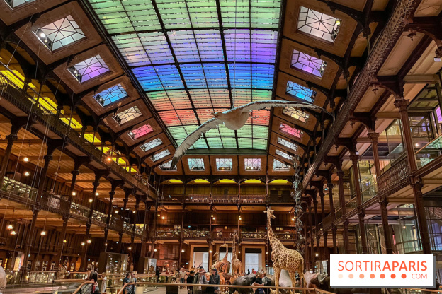 Grande Galerie de l'évolution- visuels 2024