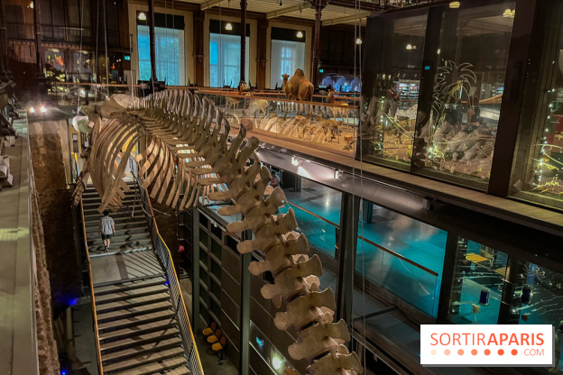 Grande Galerie de l'évolution- visuels 2024 - image00076