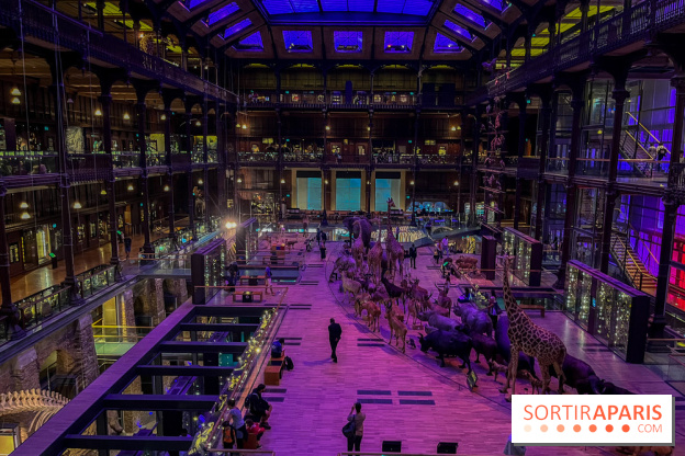 Grande Galerie de l'évolution- visuels 2024 - image00057