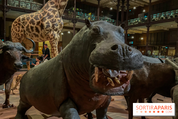 Grande Galerie de l'évolution- visuels 2024 - image00042