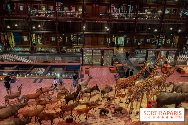 Grande Galerie de l'évolution- visuels 2024 - image00028