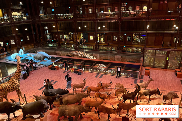 Grande Galerie de l'évolution- visuels 2024 - image00033