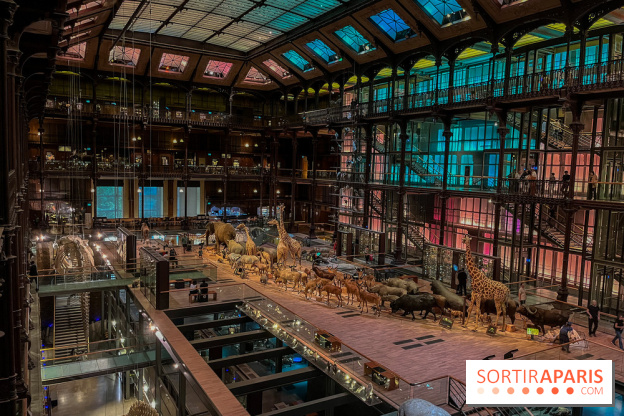 Grande Galerie de l'évolution- visuels 2024 - image00002