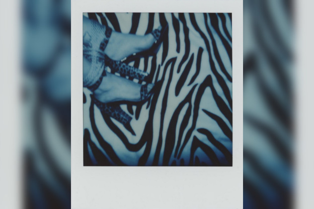 Campagne #32556 - (c) SIN   Mixed Polaroids   The Analog Festival 2024